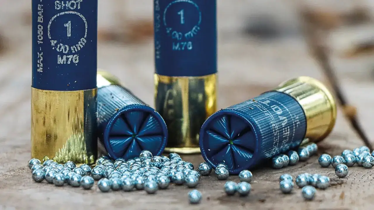 Cartouches de chasse bleues et dorées, avec des plombs éparpillés. Le plomb est désormais interdit dans de nombreuses régions.