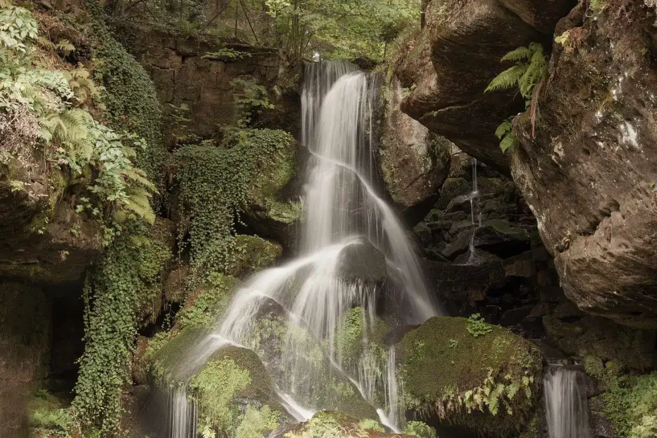 Ein malerischer Wasserfall st&uuml;rzt &uuml;ber bemooste Felsen in einem gr&uuml;nen Tal. Perfekt f&uuml;r einen erholsamen Urlaub in Sachsen.