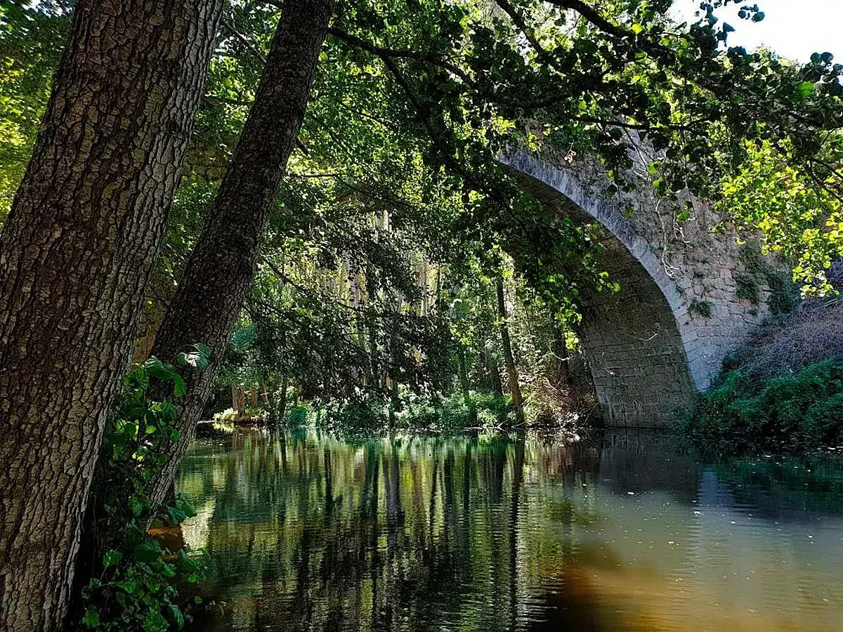 Un puente de piedra arqueado se alza sobre un río sereno, reflejando la exuberante vegetación. Un rincón idílico para disfrutar de la naturaleza en Montemayor del Río, una piscina natural.
