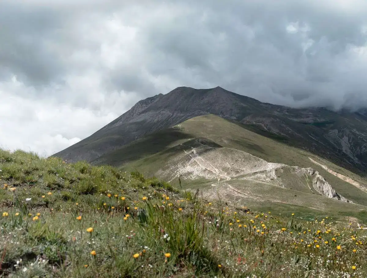 Prato fiorito ai piedi della **Forca di Presta**, con sentiero che serpeggia sui pendii verdi e montagne nebbiose sullo sfondo.