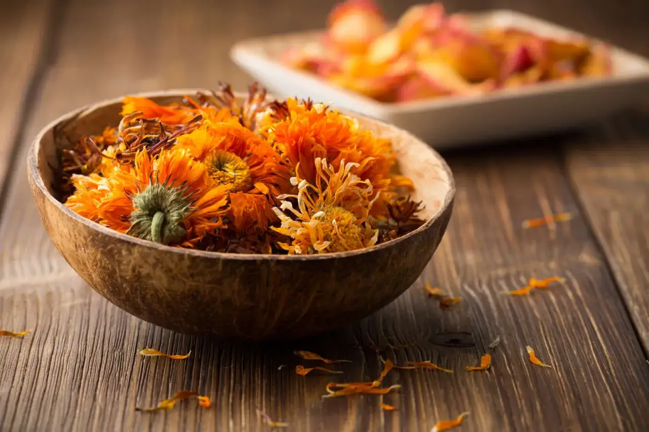 Fiori di calendula essiccati in una ciotola di legno, rimedio naturale per il prurito.