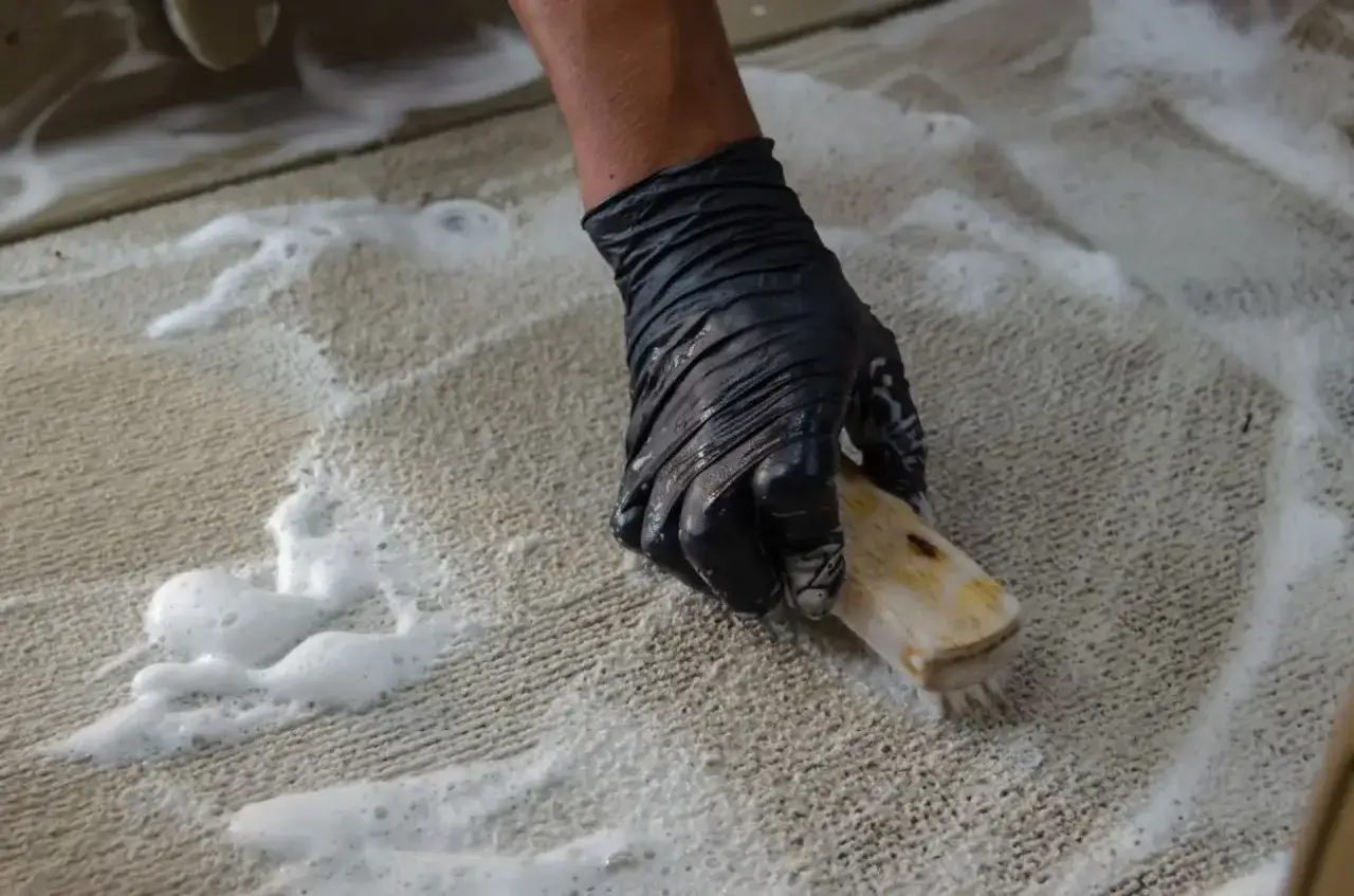 Ręka w czarnej rękawiczce szoruje wykładzinę dywanową szczotką, tworząc pianę.