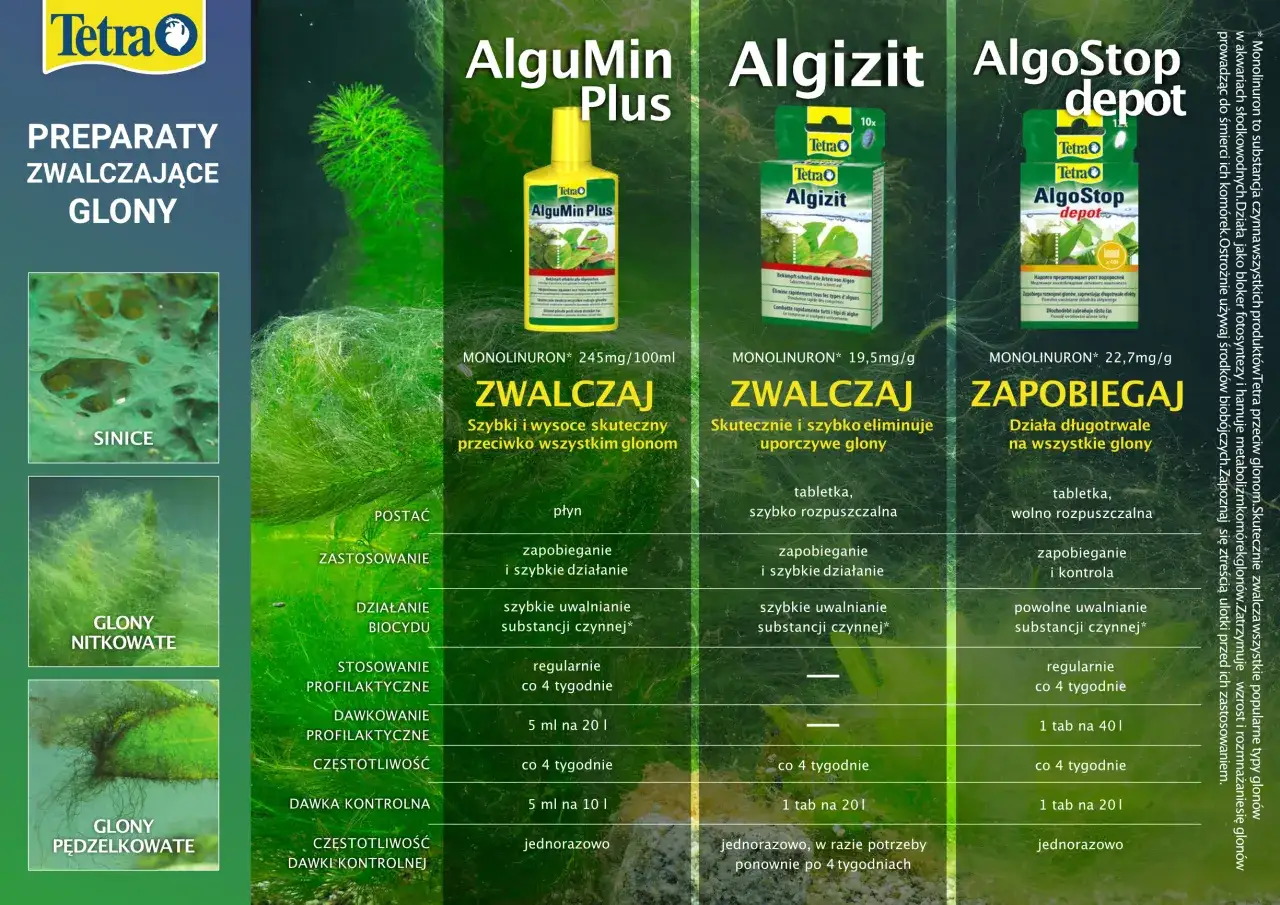 Porównanie sinice pyłki sosny glony zdjęcia