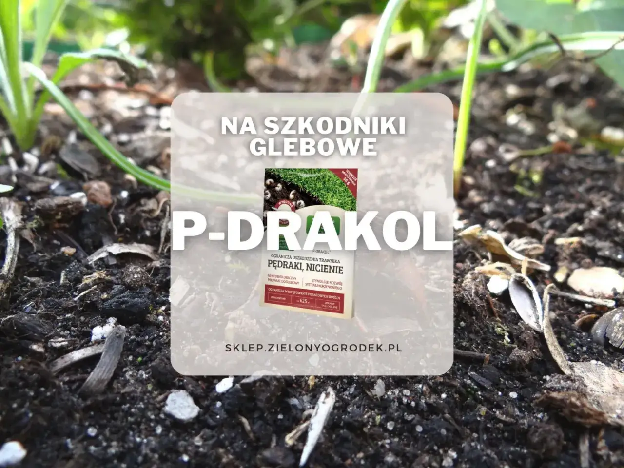 P-Drakol - ekologiczny preparat doglebowy przeciw pędrakom i nicieniom. Chroni rośliny, stymuluje rozwój korzeni.