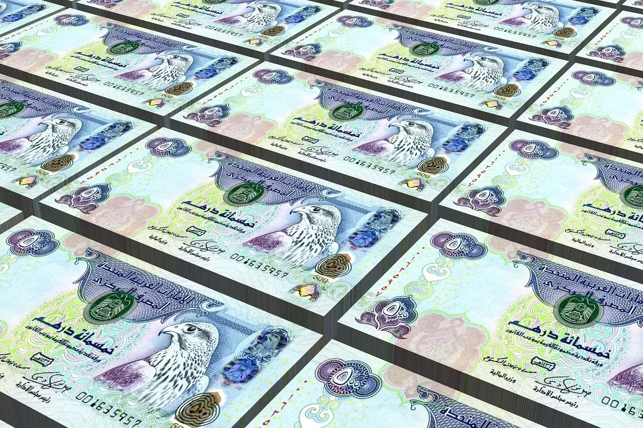 Banknoty z wizerunkiem sokoła. To pięć dirhamów, jaka waluta jest w Dubaju.
