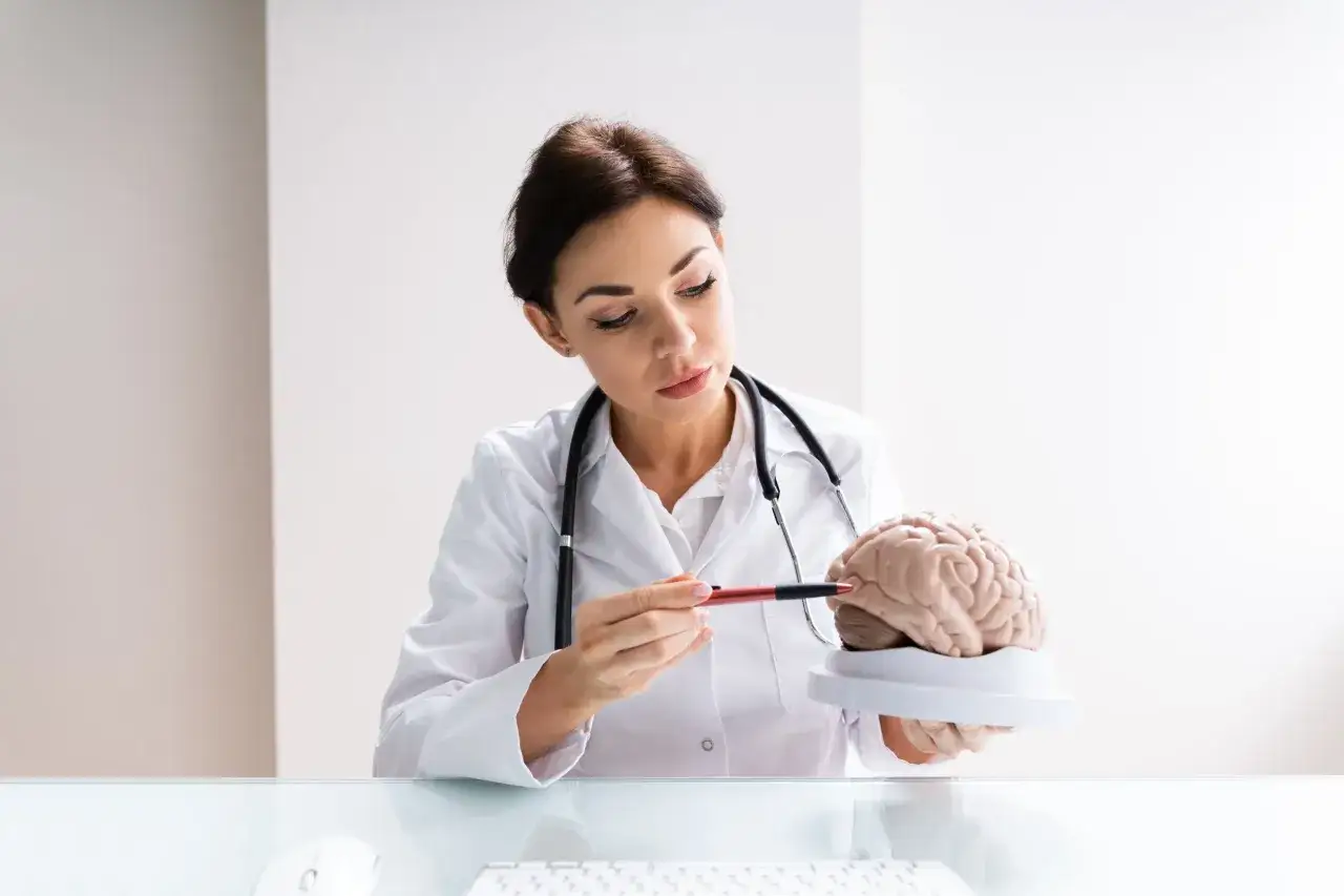 Lekarka w białym kitlu z długopisem wskazuje na model mózgu, tłumacząc, czym zajmuje się neurolog.