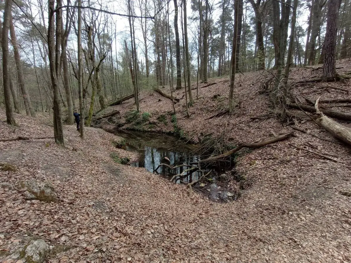 W lesie, gdzie liście tworzą złoty potok, samotna postać spaceruje nad ciemną wodą.
