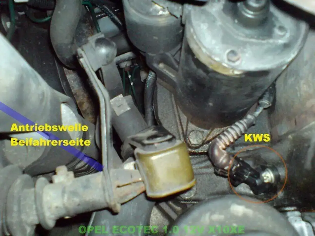 Kurbelwellensensor (KWS) am Antrieb der Beifahrerseite. Seine Funktion ist entscheidend für die Motorsteuerung.