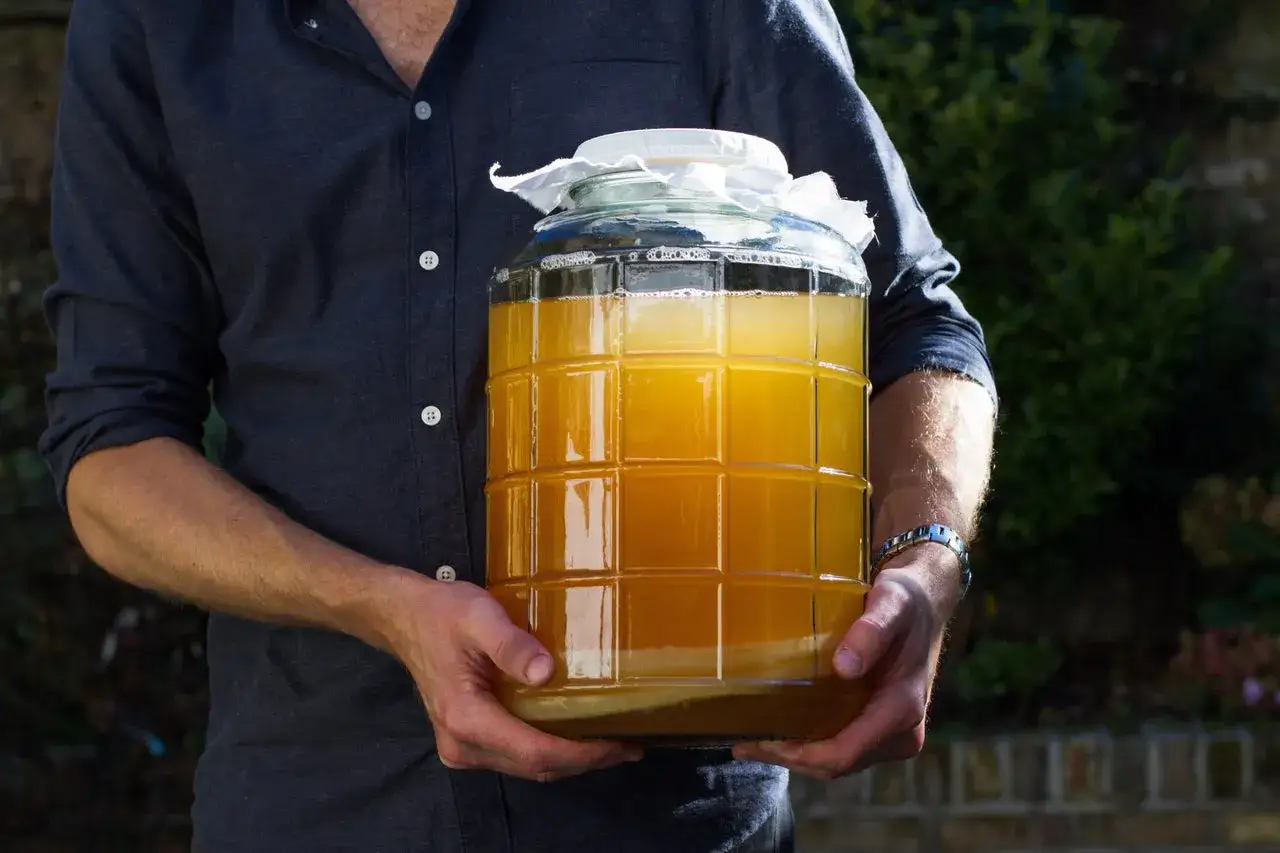 Man h&aring;ller en stor glasburk med gyllene kombucha. En h&auml;lsosam dryck som &auml;r nyttigt f&ouml;r magen.