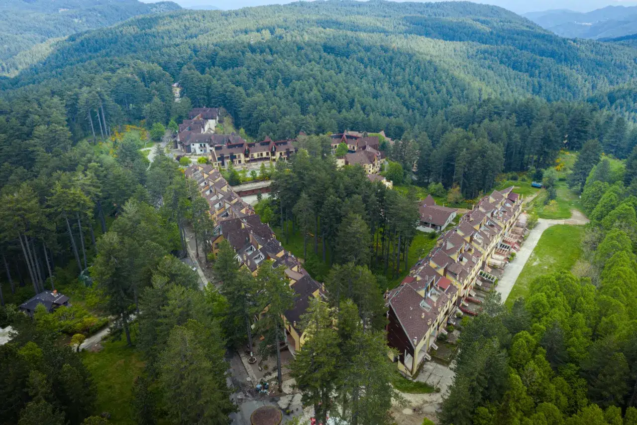 Villaggi immersi nel verde della Sila Catanzaro, con case a schiera e palazzine circondate da alberi secolari.