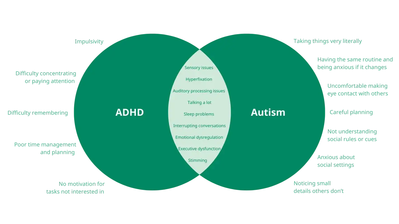 Wykres porównuje cechy ADHD i autyzmu, pokazując wspólne obszary, takie jak problemy sensoryczne i trudności z koncentracją.