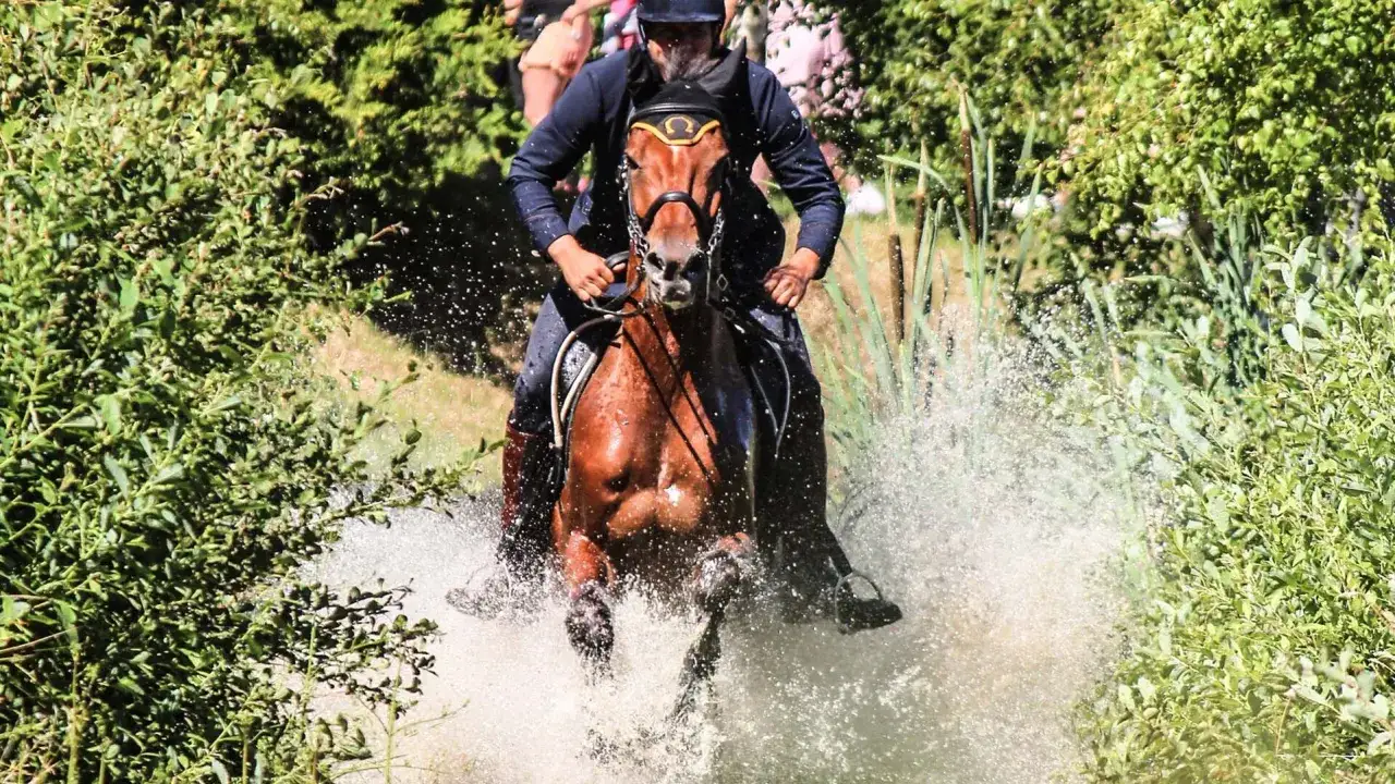 Ein braunes Pferd mit Reiter durchpfl&uuml;gt mit voller Kraft einen Wassergraben. Das Pferd ist ein echter **cross country horse**-Champion.
