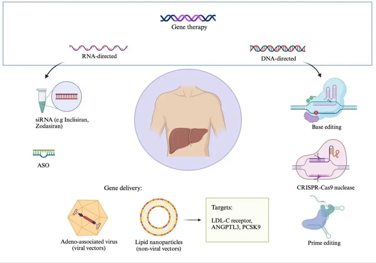 Diagrama de terapia génica para bajar el colesterol genético, mostrando enfoques RNA y DNA dirigidos, entrega viral/no viral y edición génica.