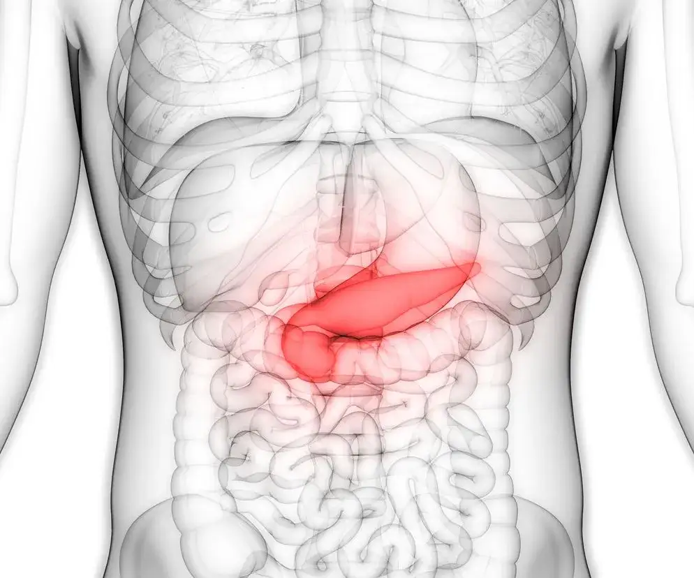 anatomia trzustki i ból opasujący