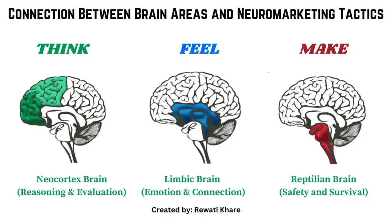 Ilustracja pokazuje połączenie obszar&oacute;w m&oacute;zgu z taktykami neuromarketingu: 