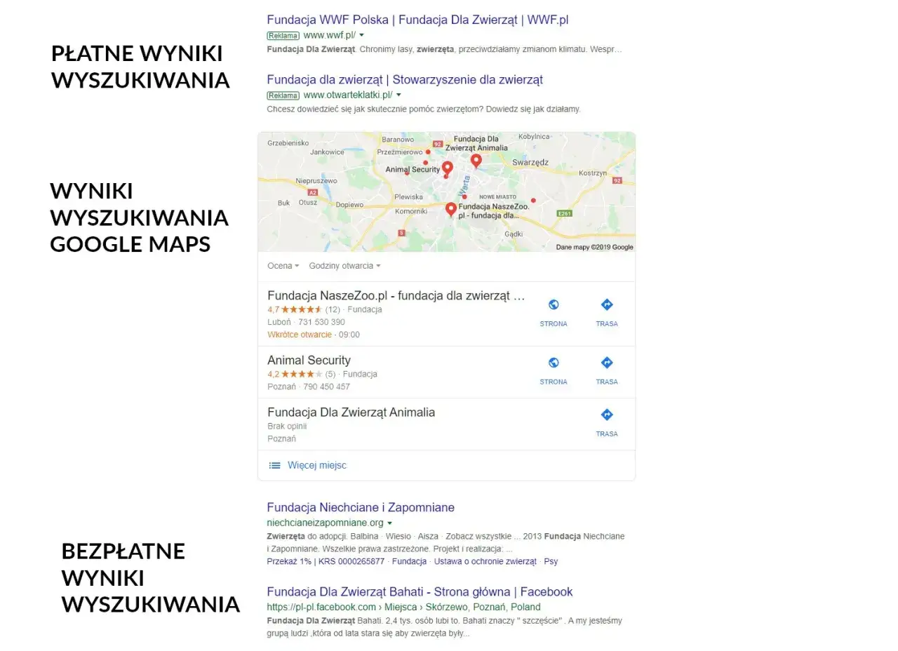 SEO i PPC różnice i synergia