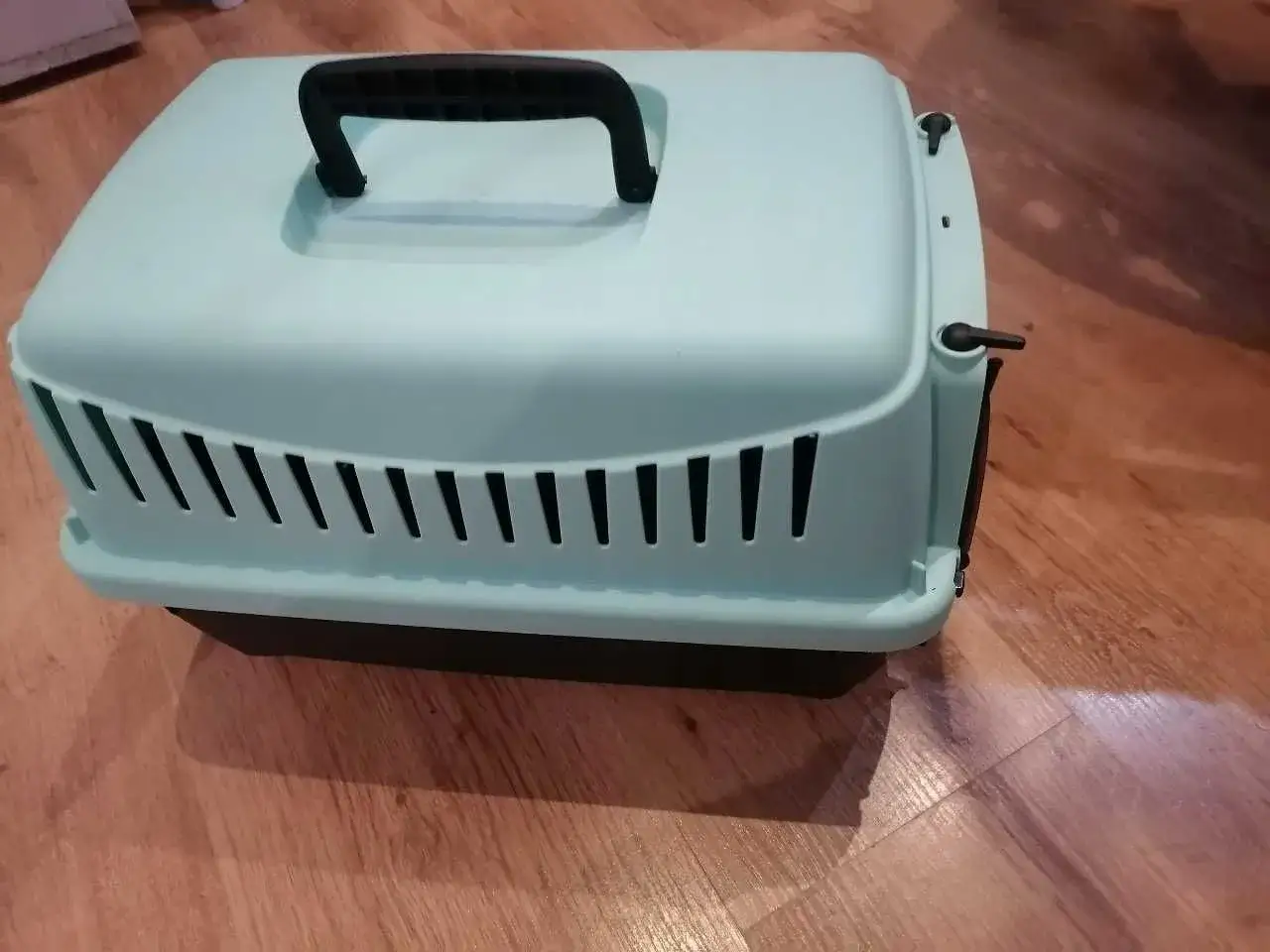 jak przygotować transporter dla szczura do podróży