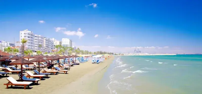Plaża Finikoudes Larnaka
