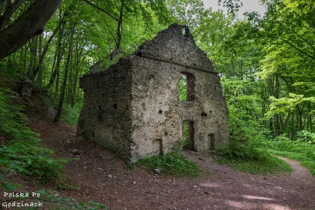 Kamienne ruiny w sercu lasu, ścieżka prowadzi przez Dolinę Eliasz&oacute;wki.