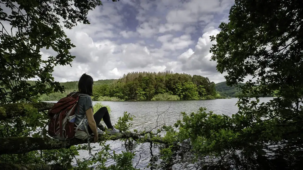 Une randonn&eacute;e dans le Morvan, une pause sur une branche surplombant le lac. Paysage verdoyant sous un ciel nuageux.