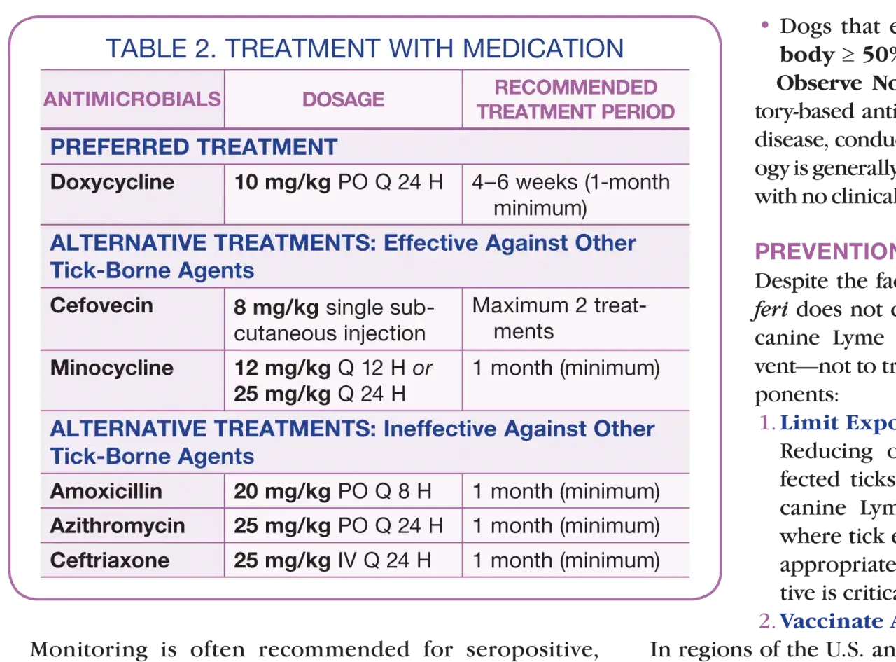 Tabela leczenia babeszjozy: Doxycyklina 10 mg/kg PO Q 24 H przez 4-6 tygodni. Inne opcje to Cefovecin, Minocycline, Amoxicillin, Azithromycin, Ceftriaxone.