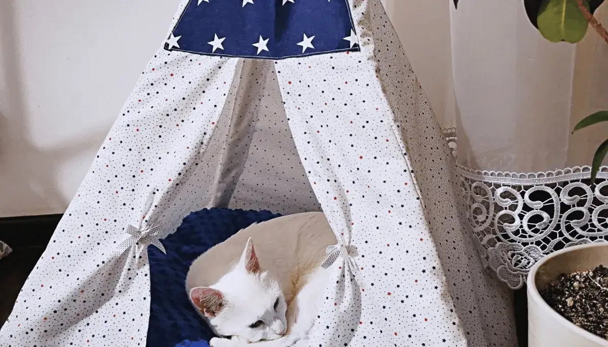 materiały do tipi dla psa diy