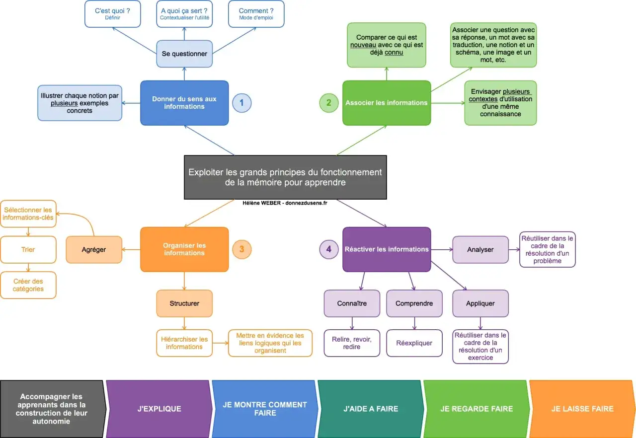 Schéma illustrant les principes de la mémoire pour apprendre, utile pour un mémoire sur le télétravail. Il détaille comment donner du sens, associer, organiser et réactiver les informations.
