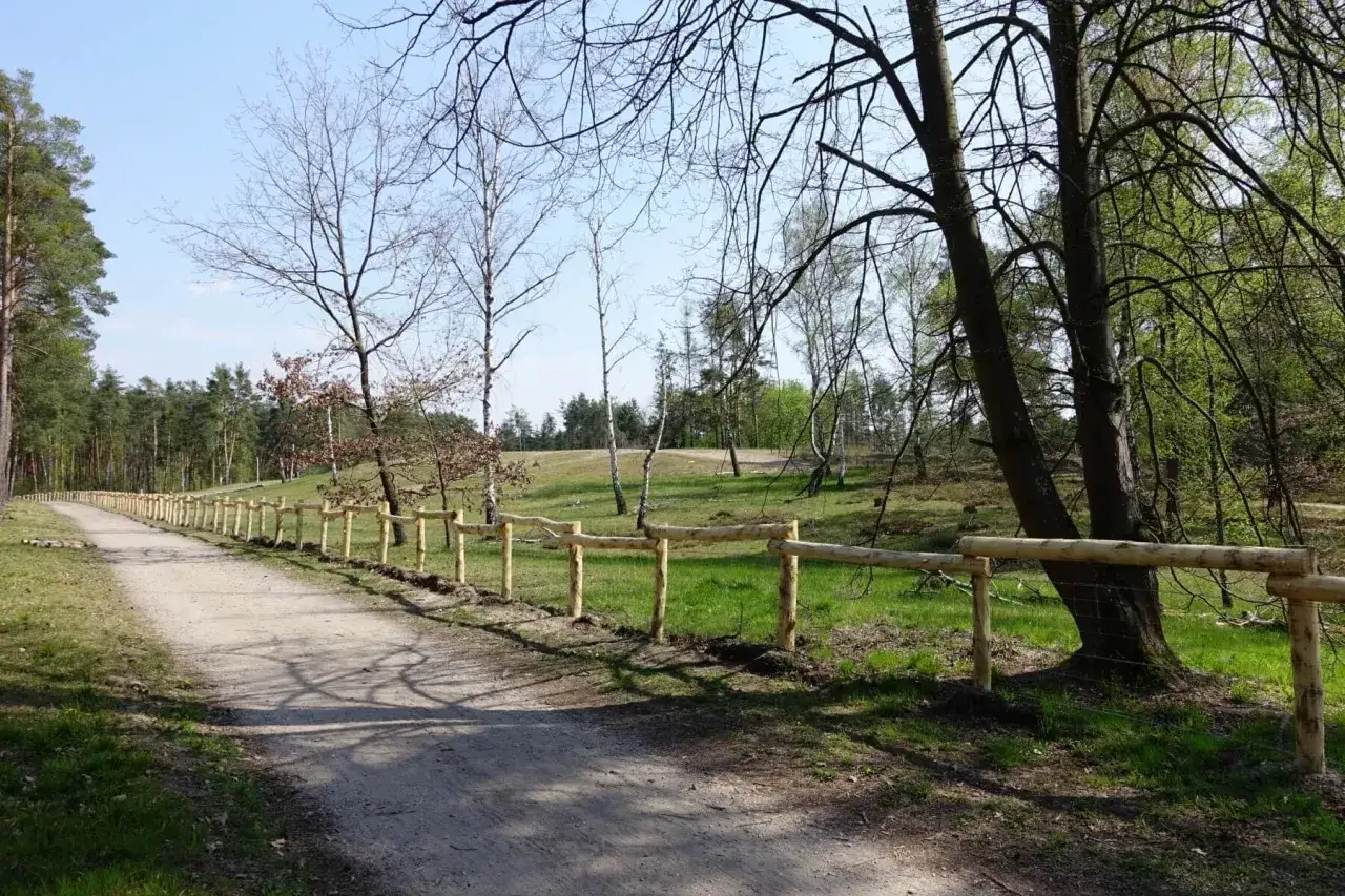 Ein Weg lädt zum Wandern in Mannheim ein, gesäumt von einem Holzzaun und grünen Wiesen.