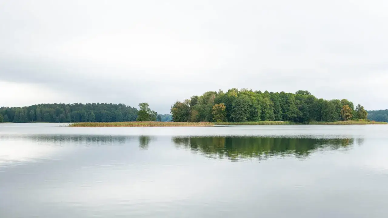 Spokojne jezioro z wyspą porośniętą drzewami. Studzieniczna atrakcje to cisza i piękno natury.