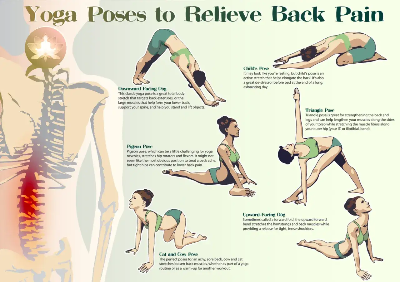 Ilustración de posturas de yoga para estirar la espalda: Perro boca abajo, Niño, Paloma, Triángulo, Gato-Vaca y Perro boca arriba.