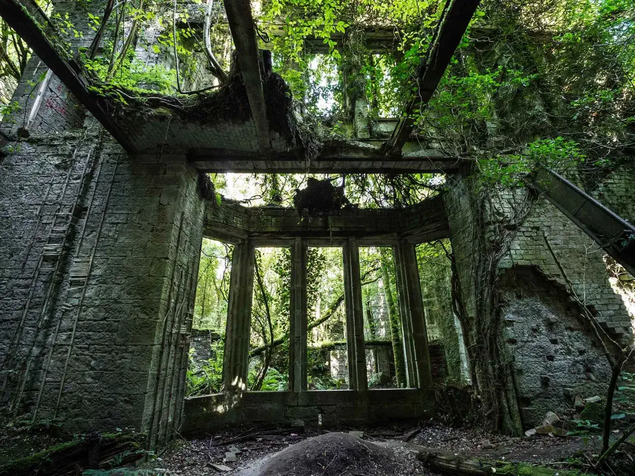 Intérieur d'un **château abandonné** envahi par la végétation. Des lianes grimpent sur les murs de pierre délabrés, les poutres de bois sont rongées par le temps.