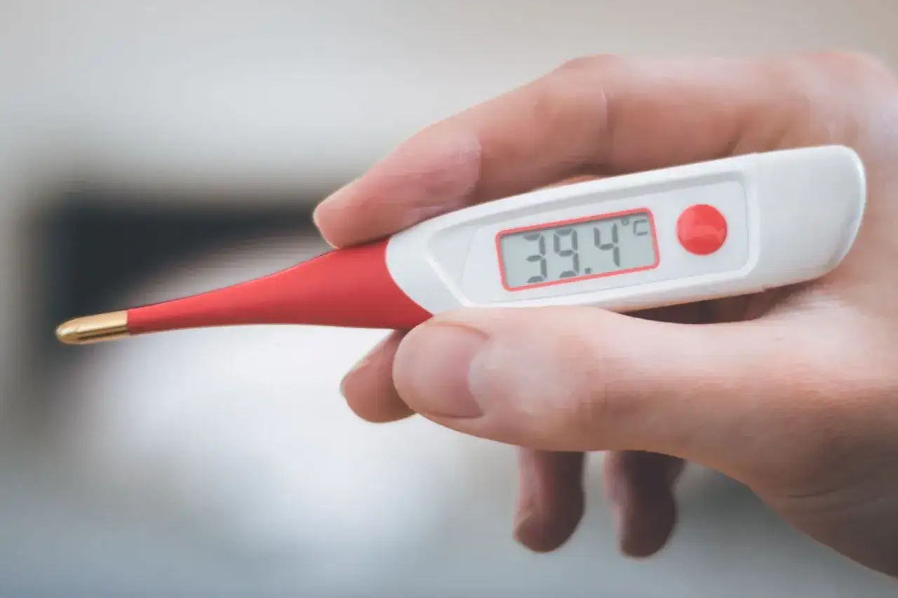 Dłoń trzyma termometr cyfrowy pokazujący 39.4°C. To może oznaczać gorączkę u psa, który potrzebuje pomocy weterynarza.