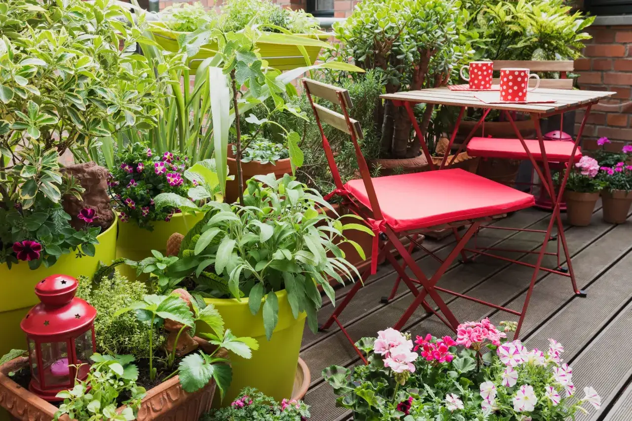 Ein &uuml;ppiger Balkongarten mit vielen Pflanzen, darunter Kr&auml;uter und Blumen. Ein kleiner Tisch mit zwei St&uuml;hlen l&auml;dt zum Verweilen ein. Der ideale fuchsien standort ist sonnig und gesch&uuml;tzt.