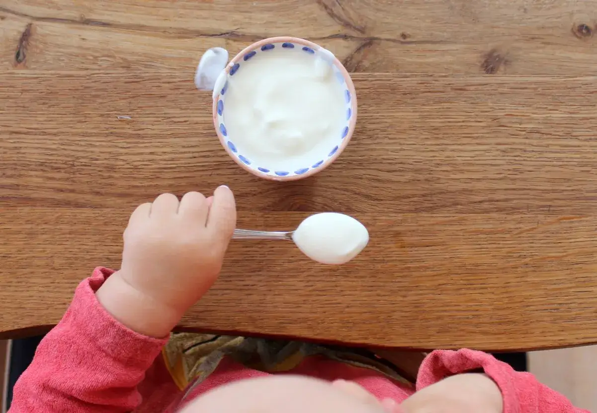 Kleiner L&ouml;ffel mit Naturjoghurt f&uuml;r ein Baby ab 6 Monaten.