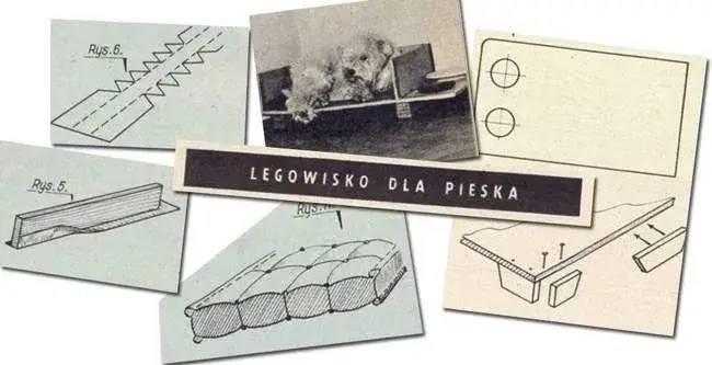 Zdjęcie Jak zrobić legowisko dla psa z palet - proste kroki i bezpieczeństwo
