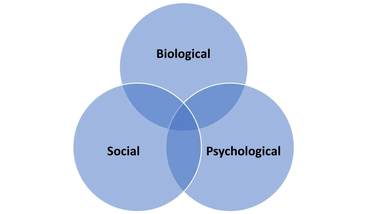 Diagram koła przedstawiający powiązania między czynnikami biologicznymi, społecznymi i psychologicznymi, które mogą wpływać na ból psychogenny.