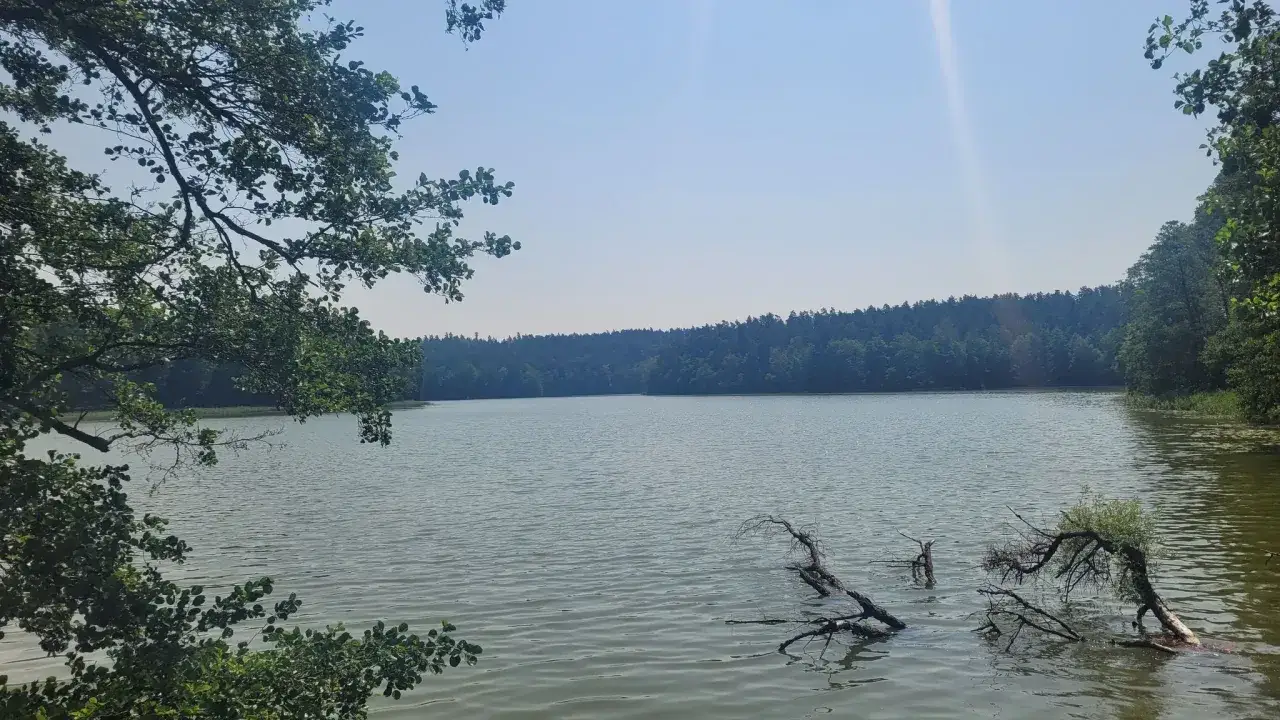 Spokojna tafla jeziora, otoczona lasem, idealna na spacer. Ostróda trasa zachwyca pięknem natury.