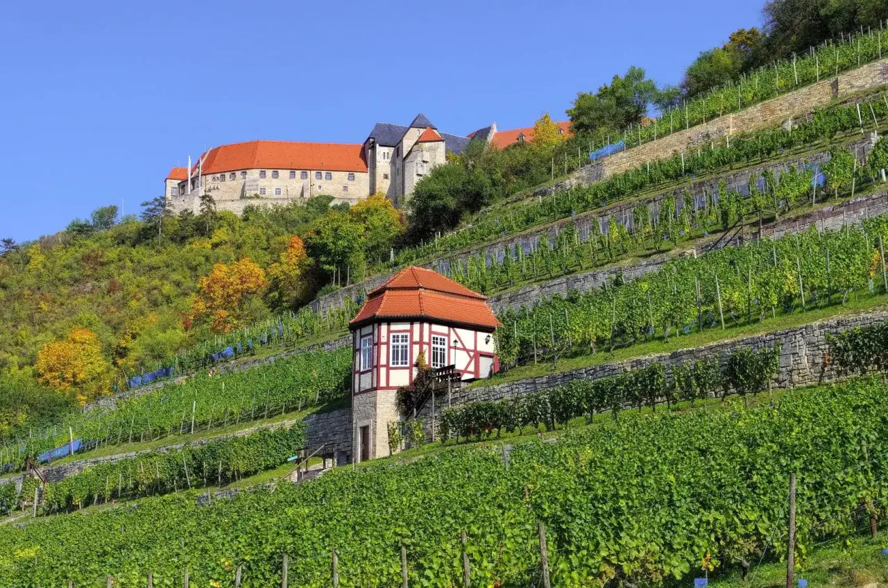 Terrassierte Weinberge mit einem kleinen Fachwerkhaus und einer Burg im Hintergrund &ndash; eine malerische deutsche Toskana.