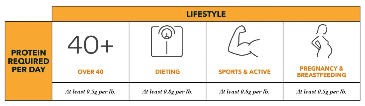 Tabell visar rekommenderat dagligt proteinintag per livsstil, inklusive protein per kilo kroppsvikt f&ouml;r &ouml;ver 40, diet, sport och graviditet/amning.