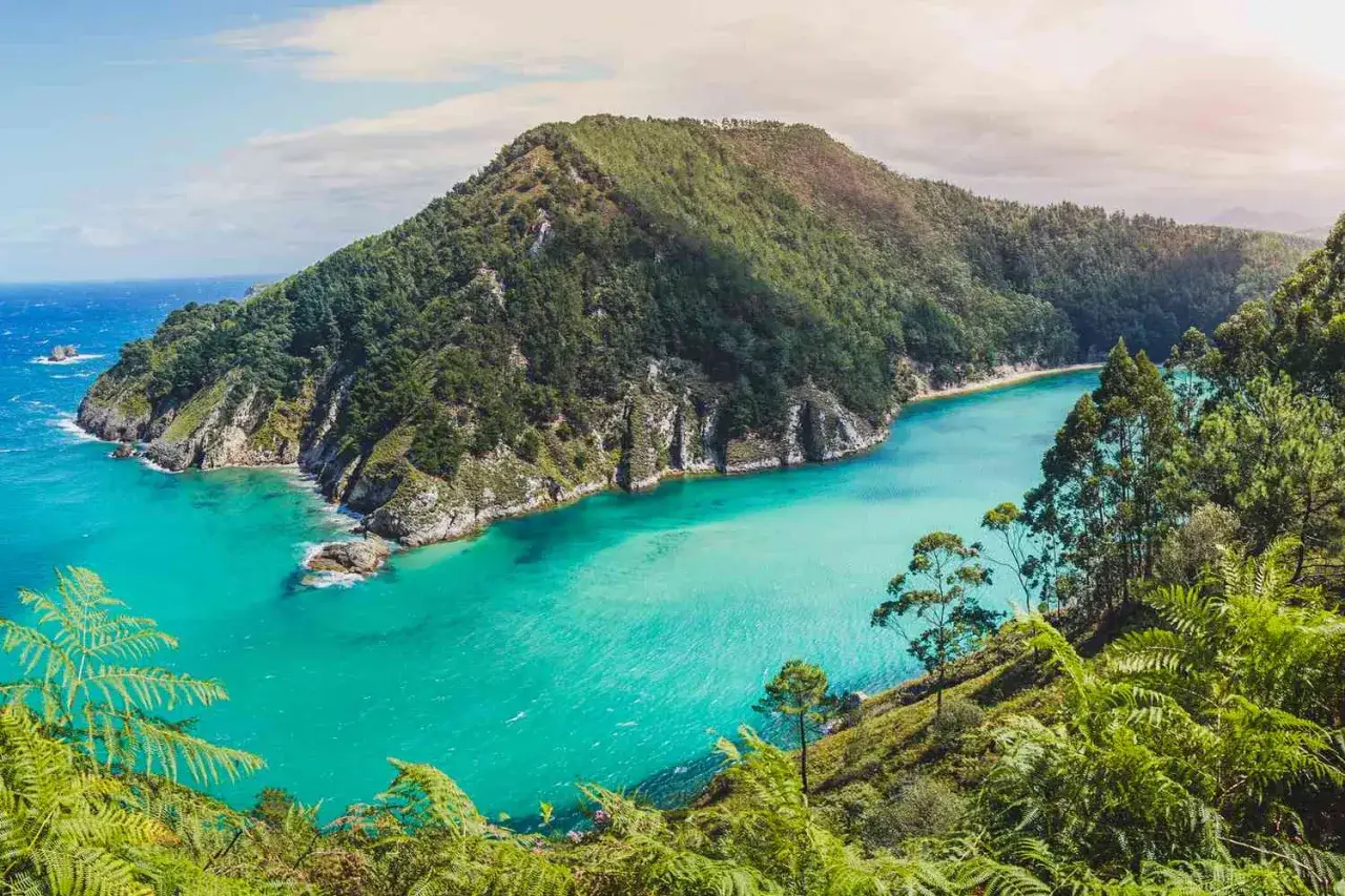 Bahía verdeazulada con acantilados y vegetación exuberante, un paraíso de playas cristalinas España.