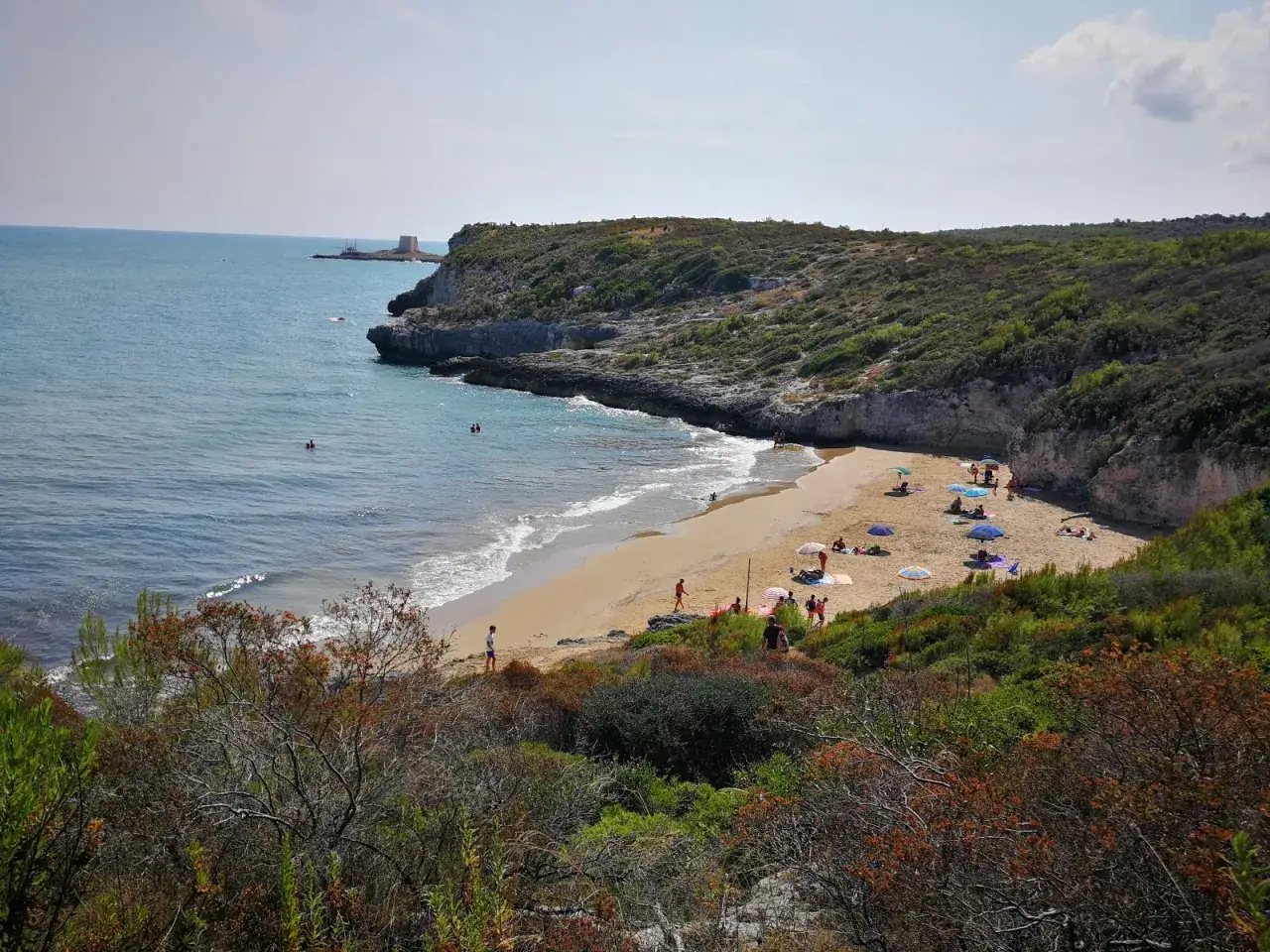 La spiaggia La Cala di Peschici, con la sua sabbia dorata e il mare azzurro, accoglie bagnanti sotto ombrelloni colorati.