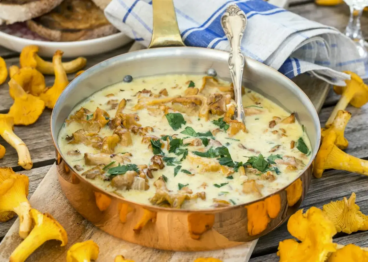Kr&auml;mig svampgryta med kantareller, perfekt f&ouml;r ett gott kantareller recept. Serveras med rostat br&ouml;d.