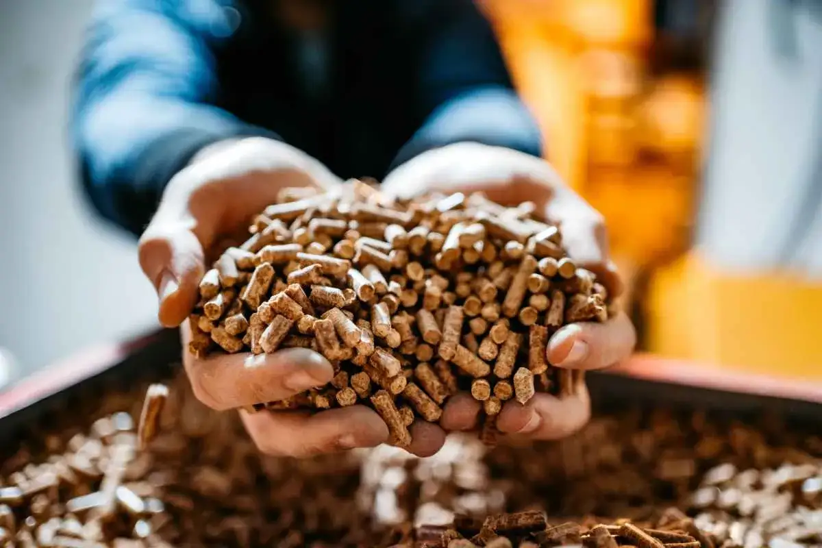 Mani che sorreggono un cumulo di nocciolino pellet, combustibile ecologico e sostenibile.