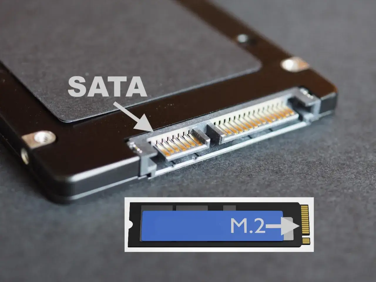 Nahaufnahme eines SSD-Laufwerks mit SATA-Anschluss. Unten ein M.2-SSD-Formfaktor.