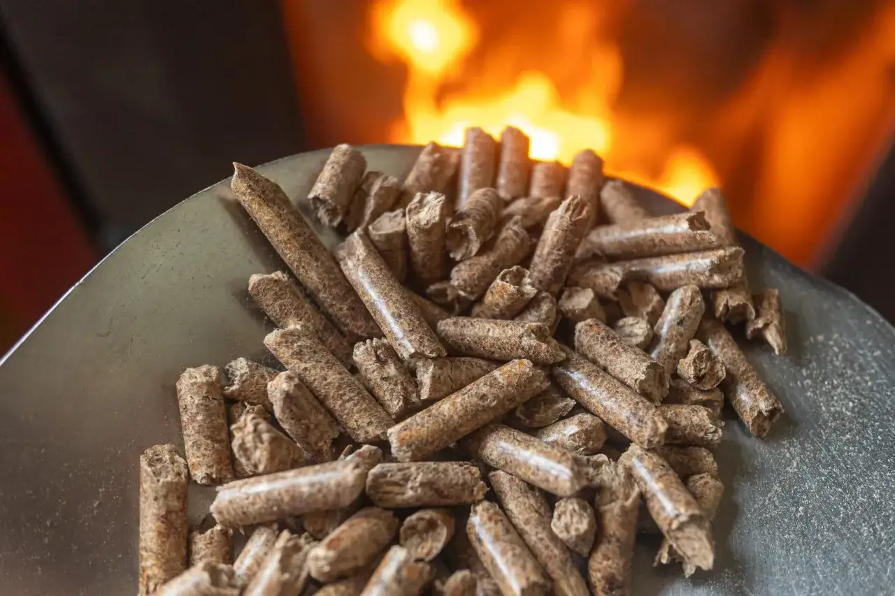 Une pelle remplie de granul&eacute;s de bois, pr&ecirc;ts &agrave; alimenter le feu. Les granul&eacute;s ne tombent plus, ils attendent leur destin calorifique.