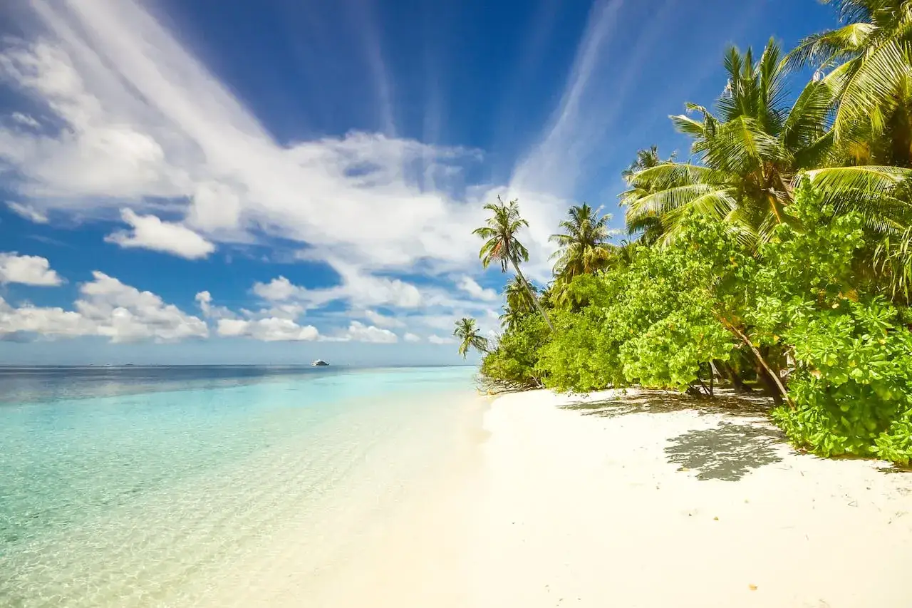Zanzibar w lutym: idealna pogoda na rajskie wakacje. Biały piasek, turkusowa woda i palmy.