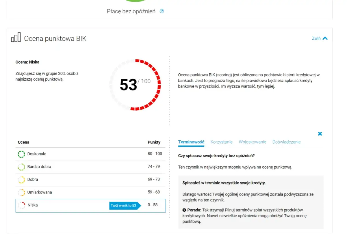 Ocena punktowa BIK 53/100. Niska ocena może wpłynąć na kredyt firmowy, mimo że to BIK prywatny.