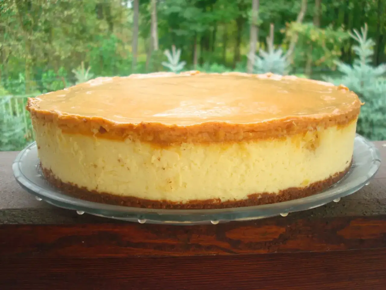 Puszysty sernik pomarańczowy z mascarpone, polany błyszczącą polewą, na tle zieleni.