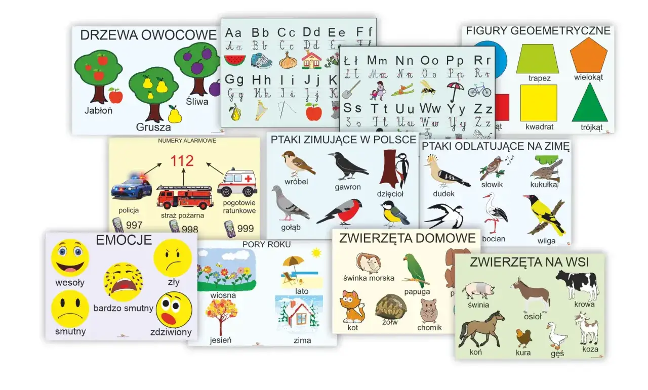 Zestaw plansz edukacyjnych dla klas 1-3: owoce, litery, figury, ptaki, emocje, pory roku, zwierzęta.