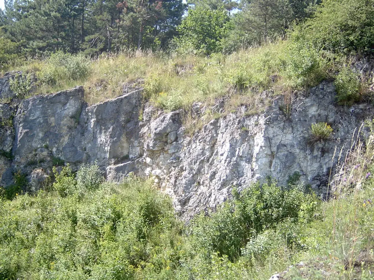 Rezerwat Kajasówka skały wapienne